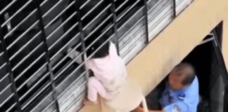 Bimba di 3 anni si sporge dalla finestra al 12esimo piano e resta sospesa nel vuoto: il miracoloso salvataggio – VIDEO
