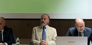 Caramia (Tor Vergata): “Dobbiamo fare nostra parte contro femminicidi”