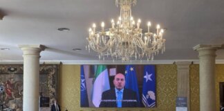 CyberShield AI Italia: i dati sulla sicurezza digitale
