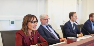 Energia, Lucaselli (Fdi): “Sfida più grande, da governo 15 decreti da maggio a oggi”