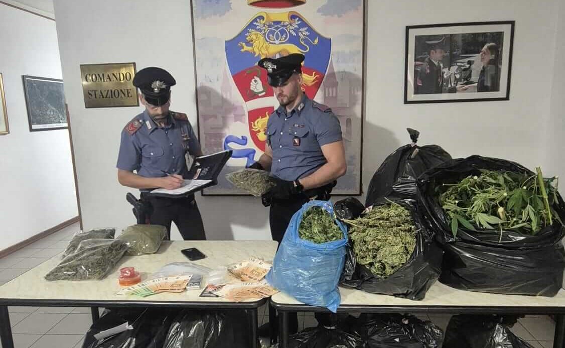 coltivavano marijuana nel giardino del condominio arrestata una coppia a sansepolcro da Corrieretoscano.it coltivavano marijuana nel giardino del condominio arrestata una coppia a sansepolcro