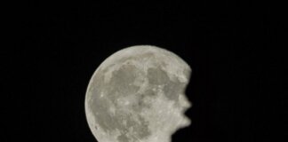 La Superluna, tre sciami di meteoriti e la parata dei pianeti: tutti gli eventi celesti di novembre 2026