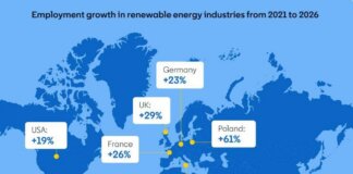 La domanda di competenze green cresce del 23% e supera la disponibilità di talenti