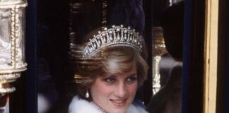 Lady Diana, 30 anni dalla morte. L’esperto: “William deluso da chi specula sul ricordo della madre”