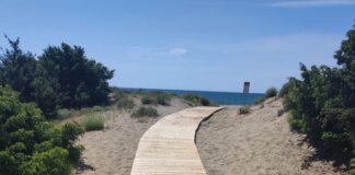 Turisti segnalano una donna entrata in acqua e mai uscita: allarme a Marina di Vecchiano