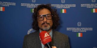 Made in Italy, Chef Borghese: “Ristorazione italiana deve offrire esperienza autentica”
