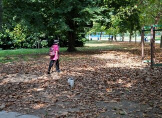 Meteo ottobre, l’Ottobrata conquista l’Italia: sole e temperature fino a 29°C