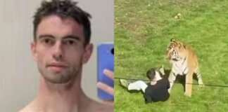 Morto dopo essere stato aggredito da una tigre in un parco, identificata la vittima: chi era William Chapman