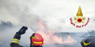 Fiamme in un canneto a Grosseto, lungo lavoro di bonifica dei vigili del fuoco