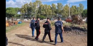 Brucia rifiuti a Marina di Grosseto: sequestrata un’area, denunciato il legale rappresentante di un’azienda