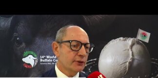Raimondo (Consorzio Tutela Mozzarella di bufala campana Dop): “”Siamo come cani da tartufo contro i