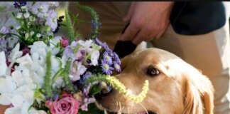 Romasposa, per le nozze sempre più richiesti sostenibilità personalizzazione e dettagli botanici per ritorno alla natura