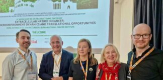 Tumori, superare i muri invisibili che proteggono il cancro, la sfida della meccanobiologia oncologica