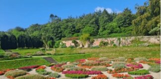 Turismo, in Irlanda del Nord i Walled Gardens svelano storie di dimore nobiliari in parchi lussureggianti