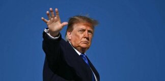Ucraina, Musk riaccende Starlink: ordine di Trump. Europa cerca un negoziatore per trattare con Putin