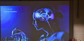 Un’alga e una luce blu: così è nata la scoperta che ha vinto il Nobel per la Medicina 2026