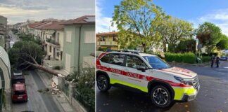 Tetti volati via e pini abbattuti: il maltempo picchia duro a Viareggio