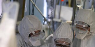 Virus Shamonda, “no casi umani in Italia, attenzione rafforzata”: la circolare del ministero dell a Salute