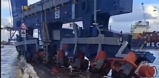 Livorno, portacontainer urta una maxi gru in Darsena Toscana: danni ingenti e operatività ridotta al terminal