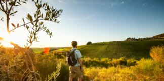 Firenze e la Costa degli Etruschi trainano il turismo nell’estate 2026
